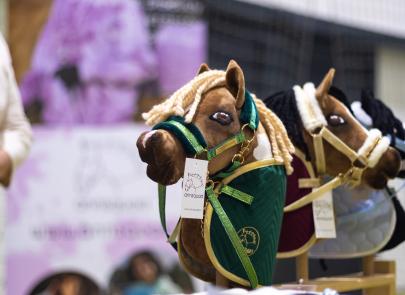 Międzynarodowe Zawody Hobby Horse — fotorelacja część 1