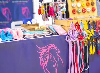 Międzynarodowe Zawody Hobby Horse — fotorelacja część 1