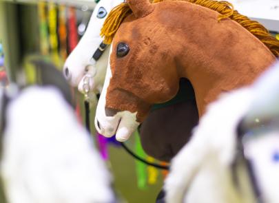 Międzynarodowe Zawody Hobby Horse — fotorelacja część 1