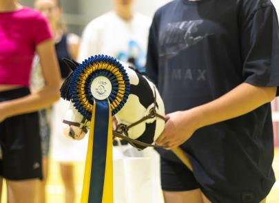 Międzynarodowe Zawody Hobby Horse — fotorelacja część 3