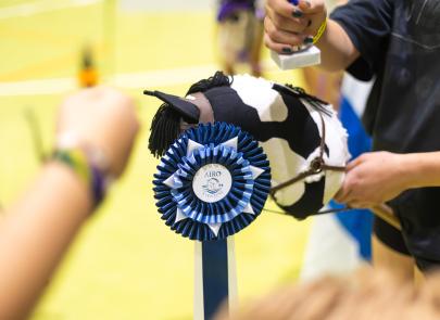 Międzynarodowe Zawody Hobby Horse — fotorelacja część 4