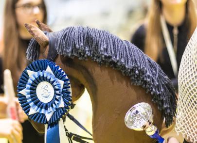 Międzynarodowe Zawody Hobby Horse — fotorelacja część 5