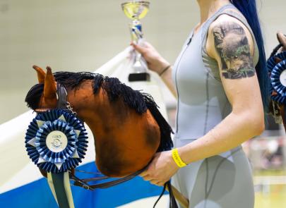 Międzynarodowe Zawody Hobby Horse — fotorelacja część 5