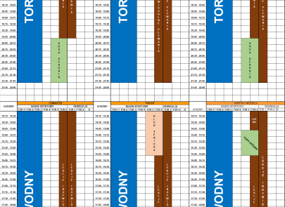 Harmonogram obłożenia pływalni w okresie wakacyjnym